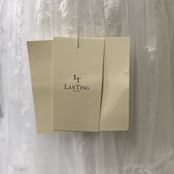 Spaghetti Straps Tulle A-line Wedding Dresses | Deep V-neck Pleated Bridal Gowns - Picture 13 of 16